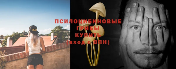ГАЛЛЮЦИНОГЕННЫЕ ГРИБЫ Алексеевка