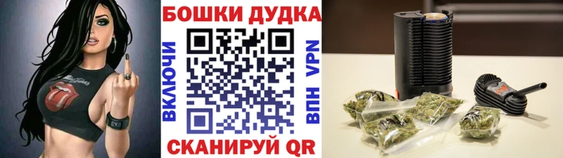 Конопля конопля Гурьевск